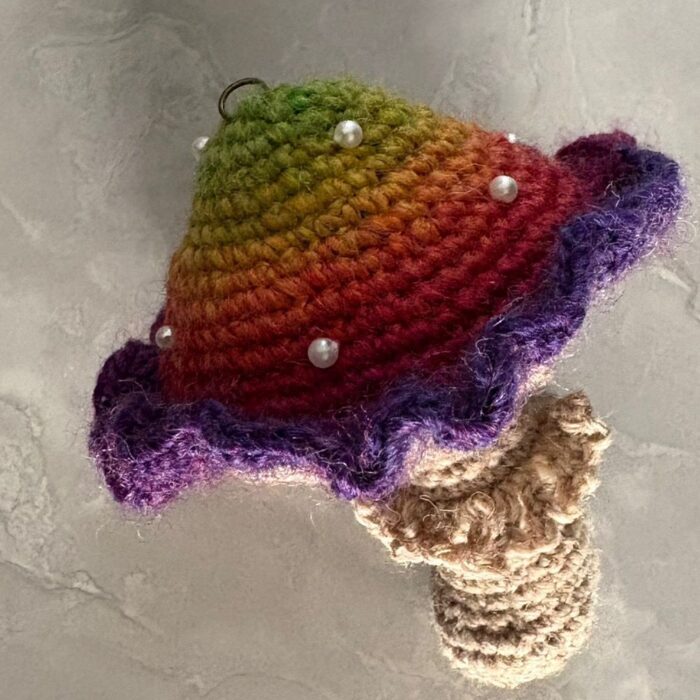 Handmade Crochet Poison Mushroom Bag Charm Amigurumi Fungus Keychain Unique Hand Dyed Yarn Gift11